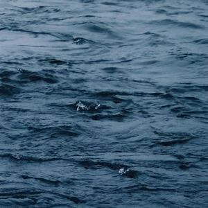 操逼摸大奶子视频
